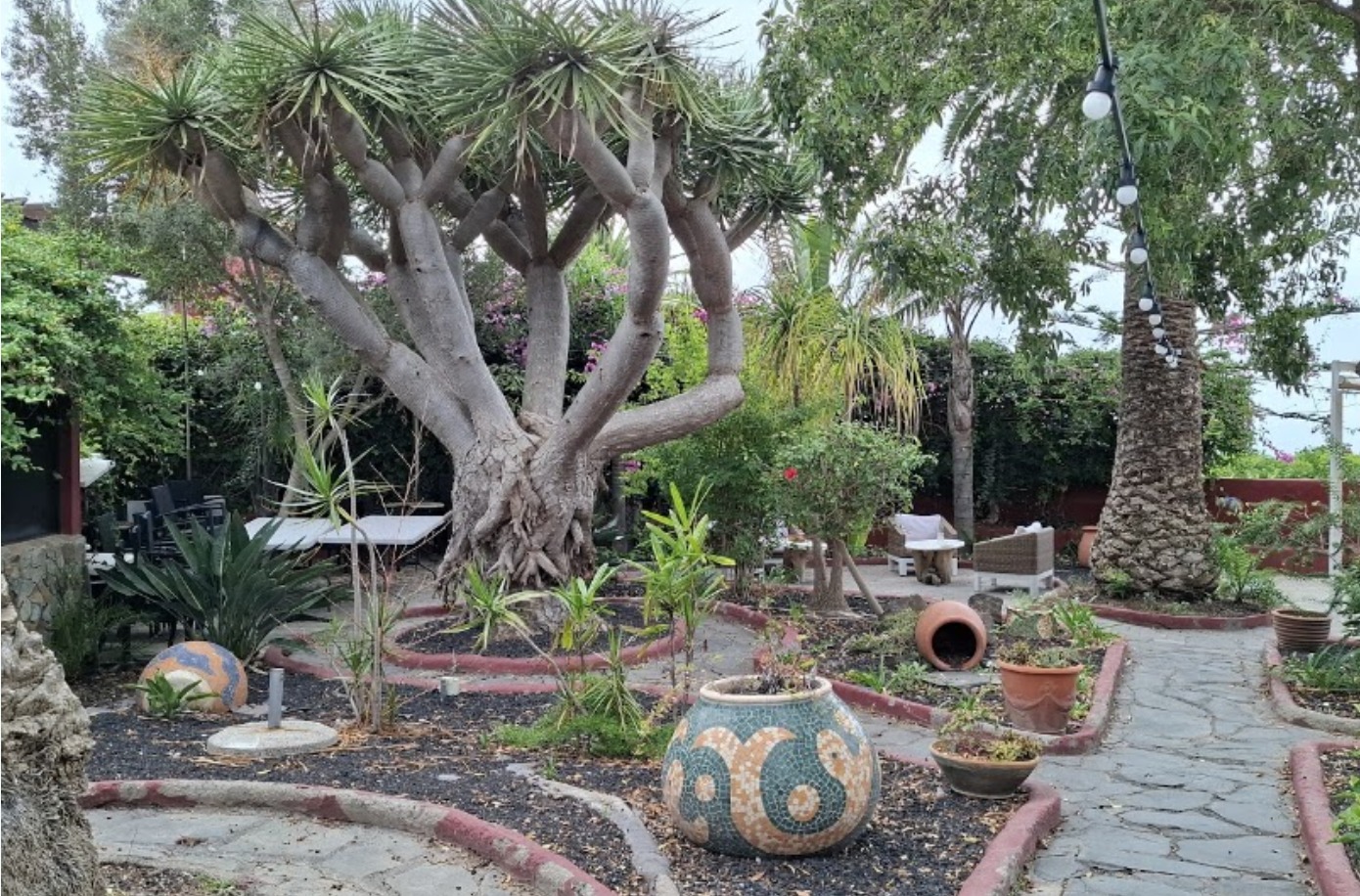 Jardín El Jardín de Tacoronte